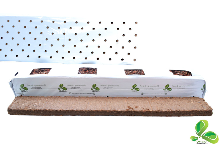 Ceylon coco peat Grow Bags